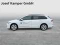 Volkswagen Golf Variant Business mHeV DSG Weiß - thumbnail 2