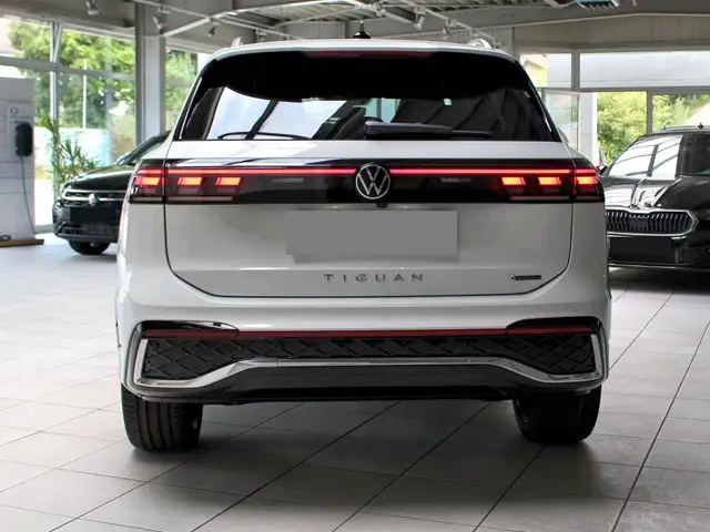 Volkswagen Tiguan view 12