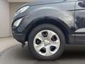 Ford EcoSport 1.0 ecoboost Business 100cv my19 Чёрный - thumbnail 18