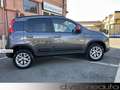 Fiat Panda 4x4 1.3 mjt 16v 4x4 95cv s&s Garanzia totale UNICA Gris - thumbnail 9