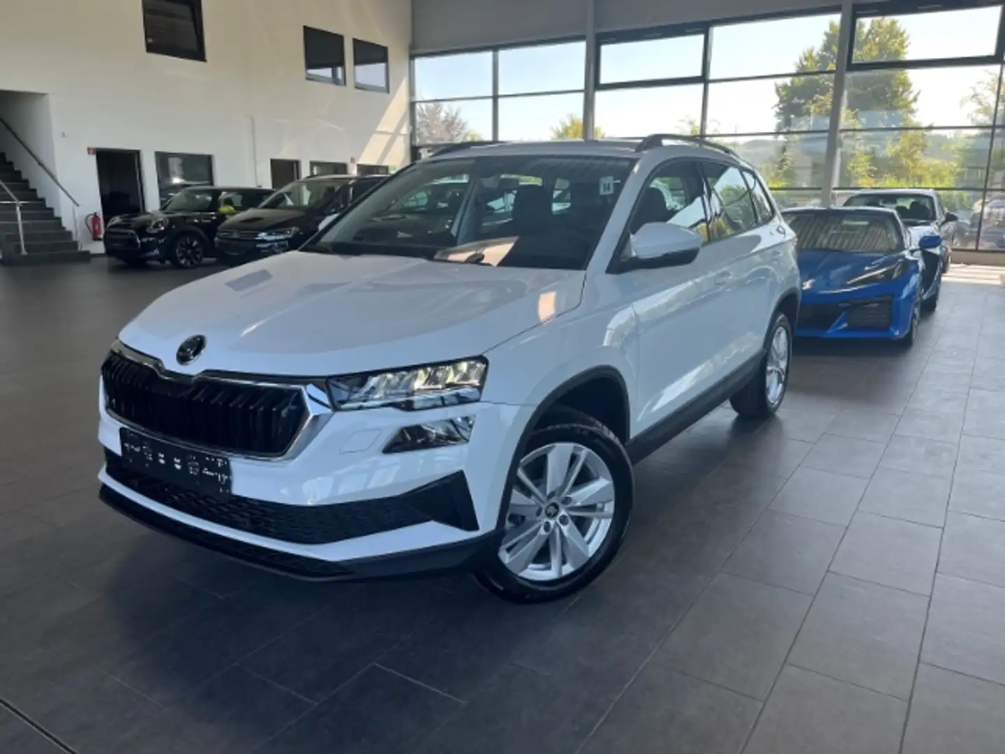 skoda karoq