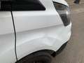 Ford Transit Custom Transit Custom 280 L1H1 LKW VA Trend Weiß - thumbnail 7