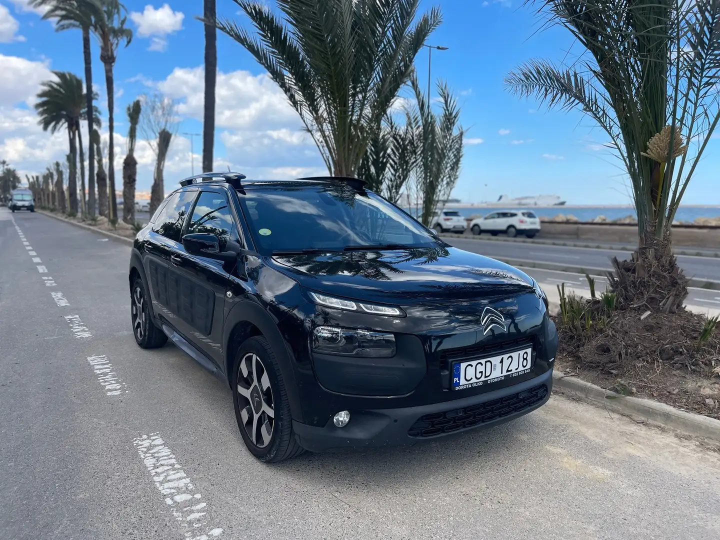 Citroen C4 Cactus BlueHDi 100 ETG6 Stop&Start Shine - 1