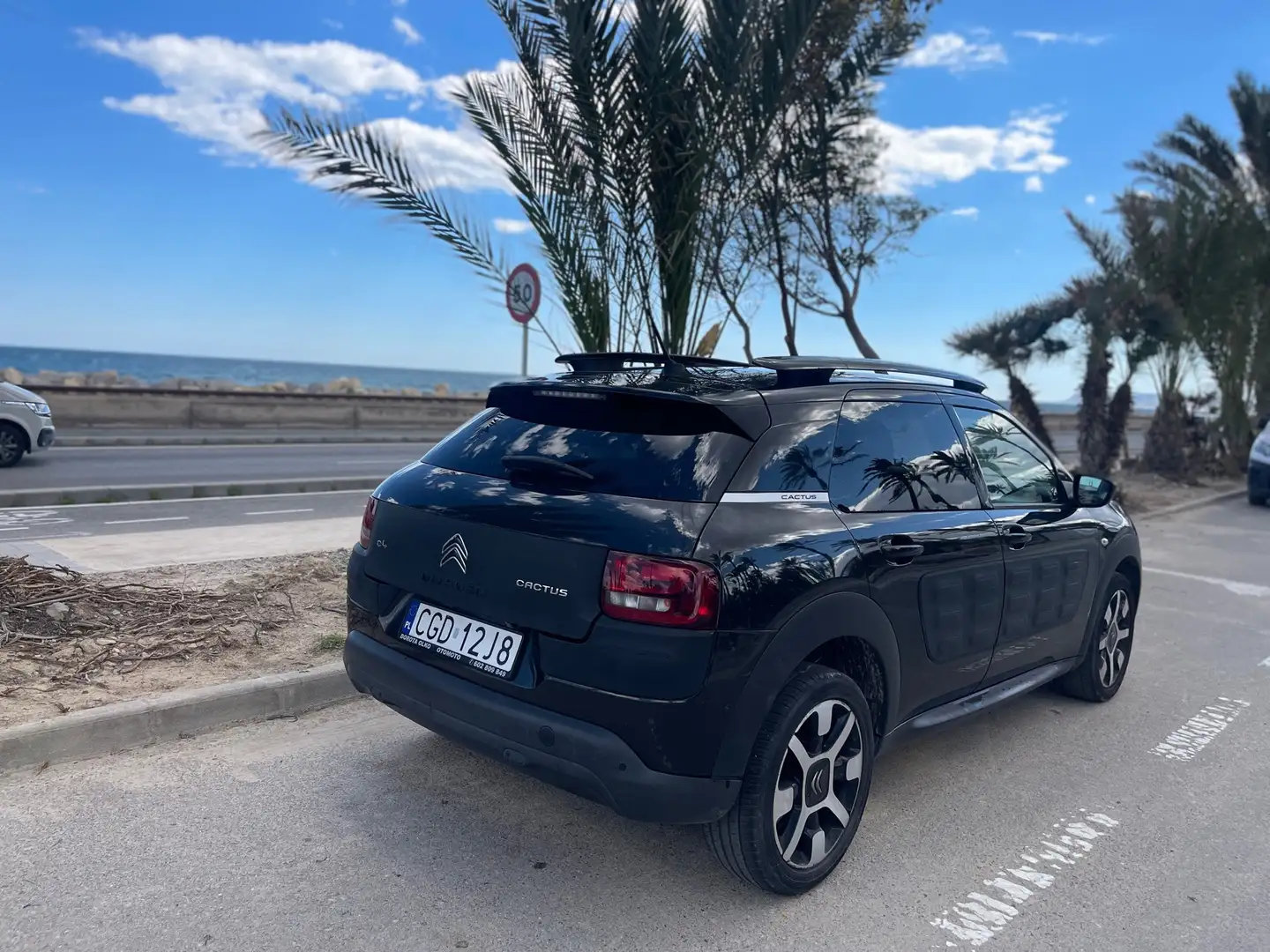 Citroen C4 Cactus BlueHDi 100 ETG6 Stop&Start Shine - 2
