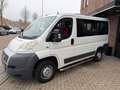 Fiat Ducato Combinato 30 2.0 MultiJet KH1 Actual 9 persoons Ai Blanco - thumbnail 21