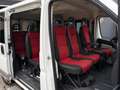 Fiat Ducato Combinato 30 2.0 MultiJet KH1 Actual 9 persoons Ai Blanco - thumbnail 3
