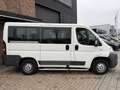 Fiat Ducato Combinato 30 2.0 MultiJet KH1 Actual 9 persoons Ai Blanco - thumbnail 7