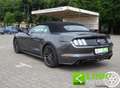 Ford Mustang Convertible 2.3 EcoBoost italiana Gris - thumbnail 12