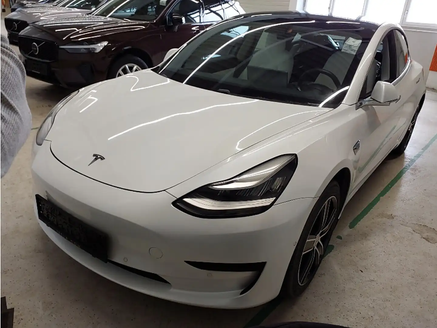 Tesla Model 3 Standard Range RWD Plus 57,5kWh *WEISSES LEDER*... Weiß - 1