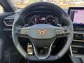 CUPRA Formentor VZ 2.0 TSI DSG *LED*AHK*Pano*Beats*CAM* Schwarz - thumbnail 13