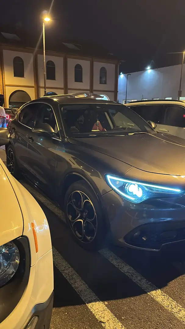 Alfa Romeo Stelvio 2.2 t Lusso Q4 210cv auto - 1