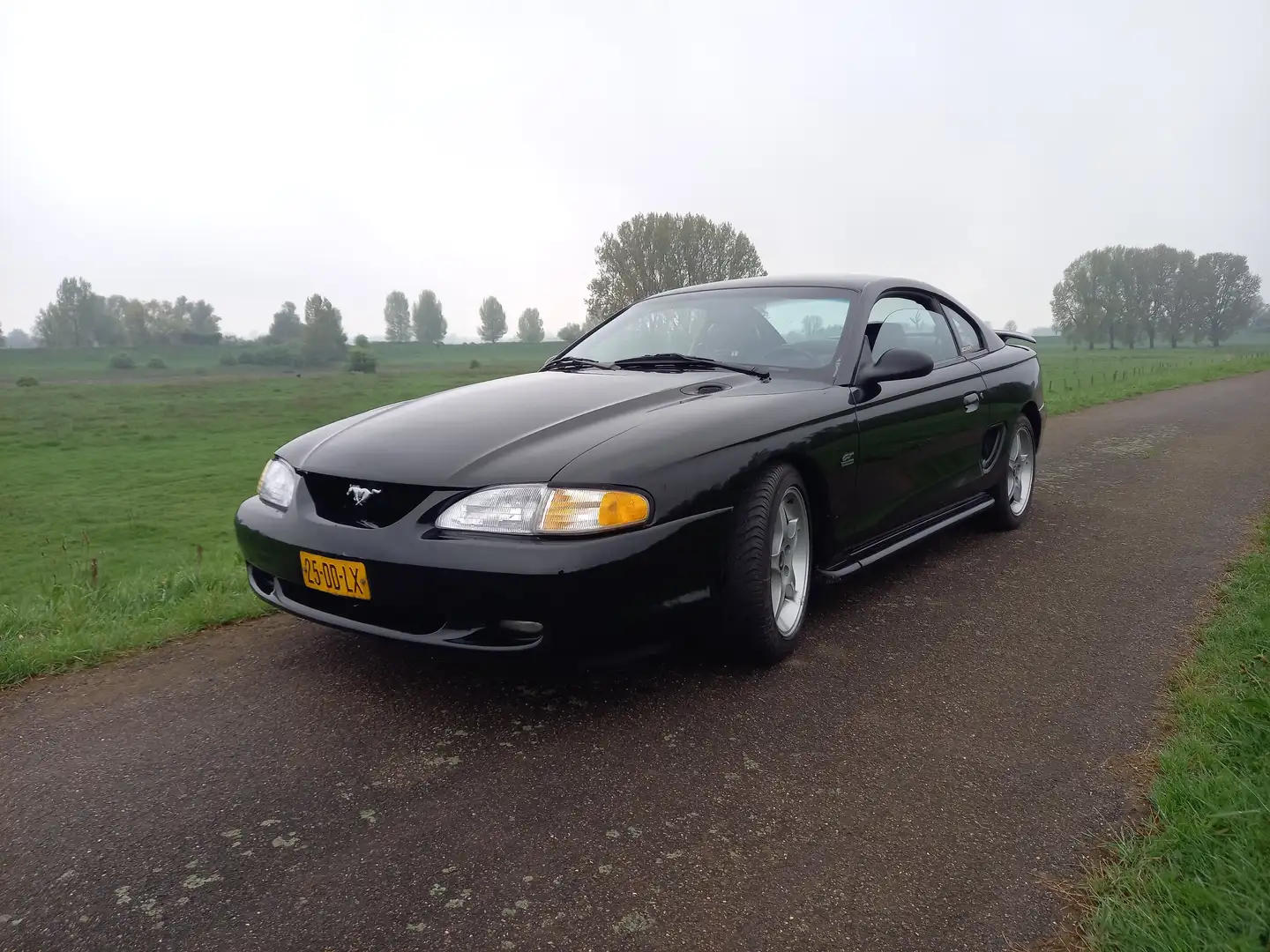Ford Mustang Mustang GT Zwart - 1