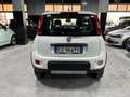 Fiat Panda Panda III 2012 4x4 1.3 mjt 16v 4x4 75cv E5+ Bianco - thumbnail 5