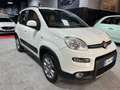 Fiat Panda Panda III 2012 4x4 1.3 mjt 16v 4x4 75cv E5+ Bianco - thumbnail 7