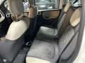 Fiat Panda Panda III 2012 4x4 1.3 mjt 16v 4x4 75cv E5+ Bianco - thumbnail 9