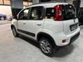 Fiat Panda Panda III 2012 4x4 1.3 mjt 16v 4x4 75cv E5+ Bianco - thumbnail 4