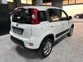 Fiat Panda Panda III 2012 4x4 1.3 mjt 16v 4x4 75cv E5+ Bianco - thumbnail 6