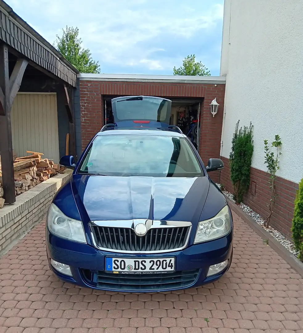 Skoda Octavia Ambiente Blau - 1