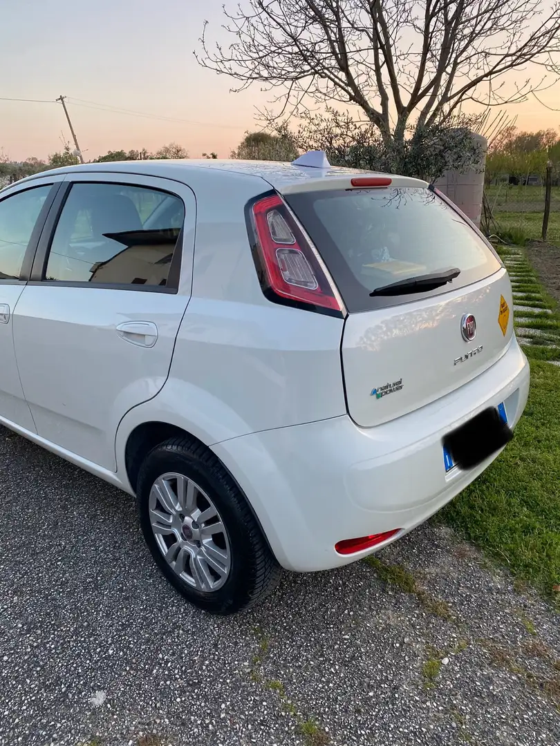 Fiat Punto Evo 0.9 Twinair Start&Stopp Lounge Bianco - 2