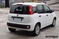 Fiat Panda 1.2 AUTOCARRO N1 4 POSTI Bianco - thumbnail 6