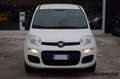 Fiat Panda 1.2 AUTOCARRO N1 4 POSTI Bianco - thumbnail 2