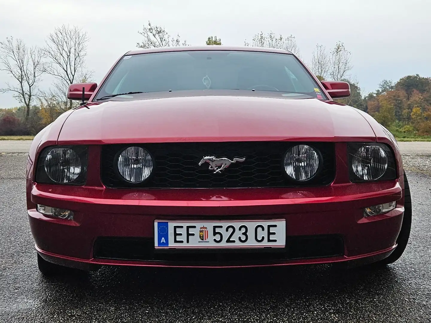Ford Mustang Mustang GT V8 Rot - 2