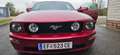 Ford Mustang Mustang GT V8 Rot - thumbnail 14