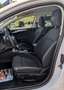 Ford Focus Turnier 1.5 EcoBlue Start-Stopp-System Aut. COOL&C Blanc - thumbnail 12