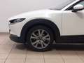 Mazda CX-30 2.0L Skyactiv-G M Hybrid 2WD Executive Fehér - thumbnail 14