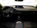 Mazda CX-30 2.0L Skyactiv-G M Hybrid 2WD Executive Білий - thumbnail 9
