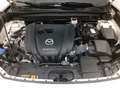 Mazda CX-30 2.0L Skyactiv-G M Hybrid 2WD Executive Білий - thumbnail 12