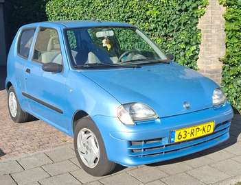 Seicento 1.1 Young