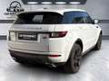 Land Rover Range Rover Evoque Pure Weiß - thumbnail 5