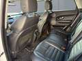 Land Rover Range Rover Evoque Pure Weiß - thumbnail 10