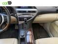 Lexus RX 350 Weiß - thumbnail 7