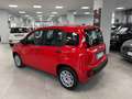 Fiat Panda 1.2 Easy Rosso - thumbnail 6