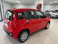 Fiat Panda 1.2 Easy Rosso - thumbnail 4