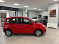 Fiat Panda 1.2 Easy Rosso - thumbnail 3