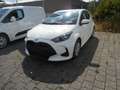Toyota Yaris Hybrid Business Edition Navi Sitzheizung RFK TSS Wit - thumbnail 1