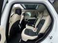 Land Rover Range Rover Sport HSE Dynamic, PANORAMA Blanc - thumbnail 15