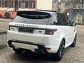 Land Rover Range Rover Sport HSE Dynamic, PANORAMA Blanc - thumbnail 6