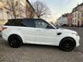 Land Rover Range Rover Sport HSE Dynamic, PANORAMA Blanc - thumbnail 5