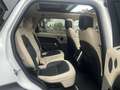 Land Rover Range Rover Sport HSE Dynamic, PANORAMA Blanc - thumbnail 14