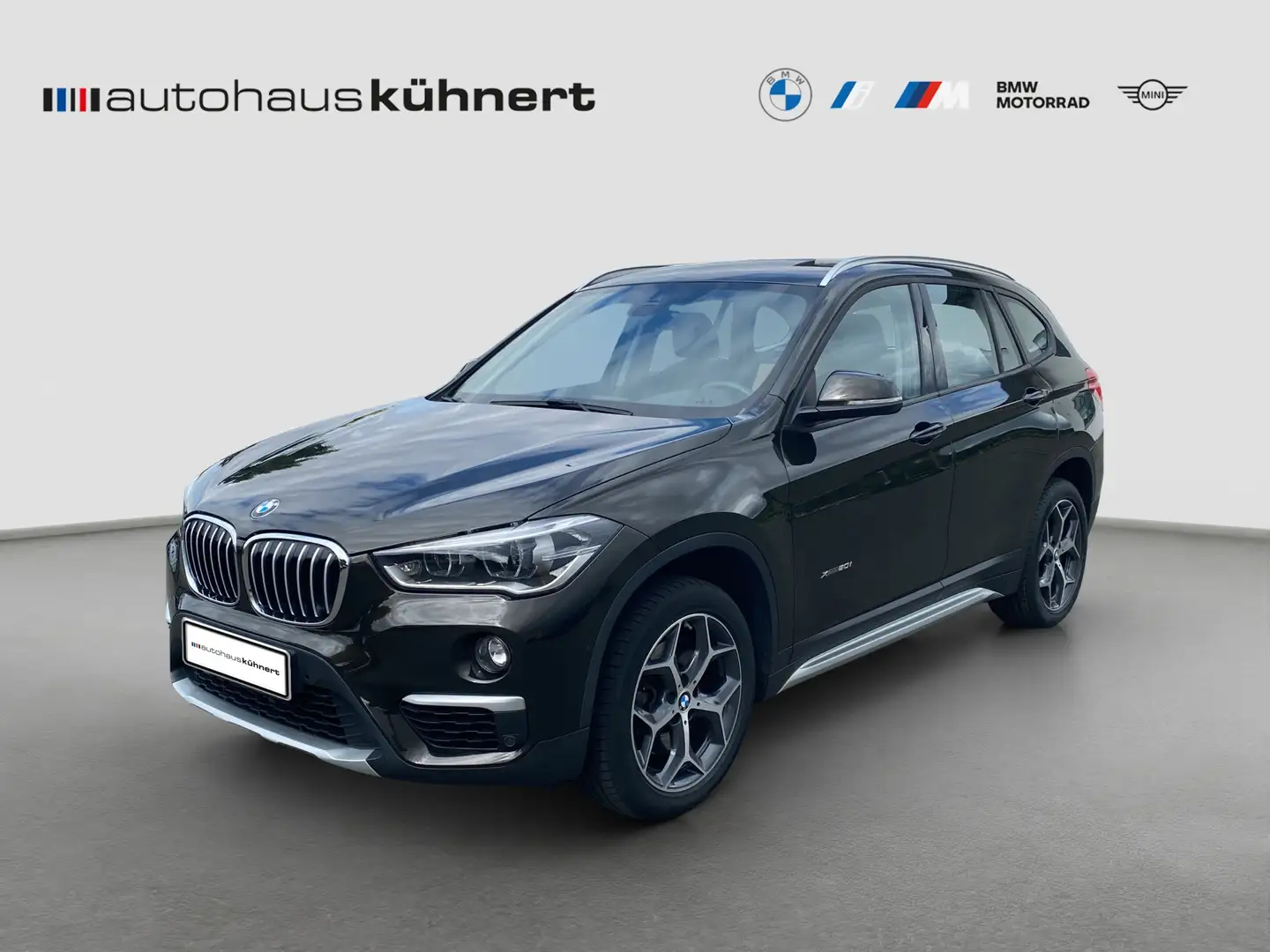 BMW X1 xDrive20i xLine Sportsitze erw.LED Parkassist. Hnědá - 1