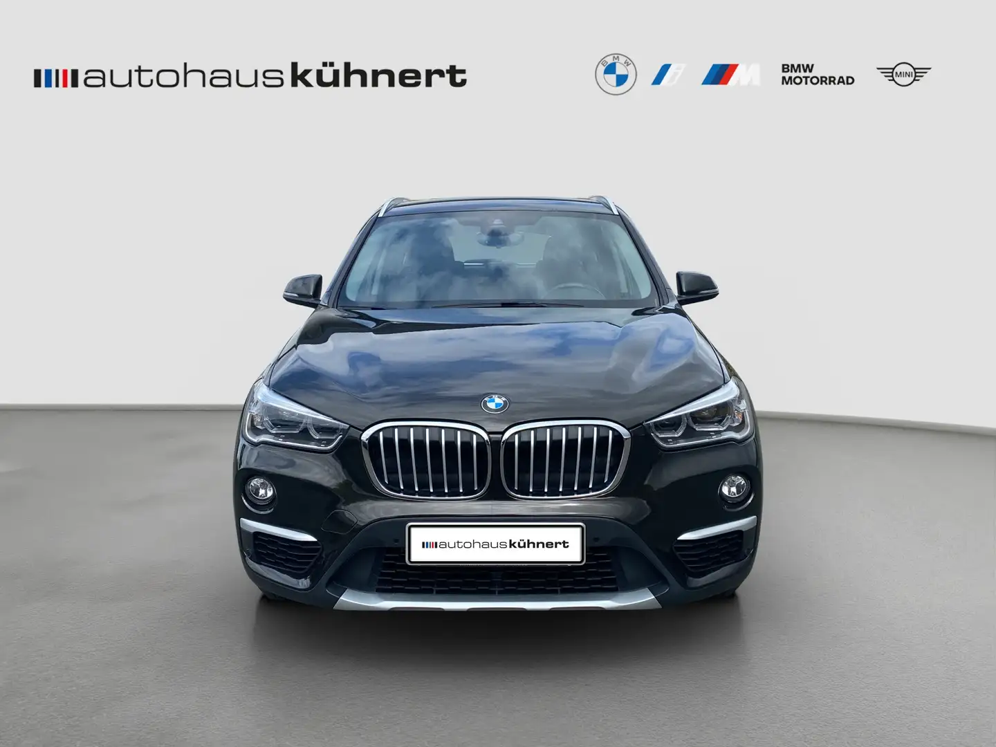 BMW X1 xDrive20i xLine Sportsitze erw.LED Parkassist. Hnědá - 2