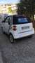 smart forTwo Fortwo II 2007 Cabrio Cabrio 1.0 mhd Pulse 71cv Bianco - thumbnail 3