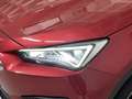 SEAT Tarraco 1.5 TSI S&S Xcellence 150 Red - thumbnail 9