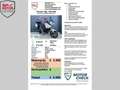 Triumph Tiger 1050 ABS Biały - thumbnail 3