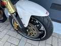 Triumph Tiger 1050 ABS Biały - thumbnail 5