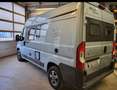 Fiat Ducato Ducato L2H2 teilverglast Blau - thumbnail 4